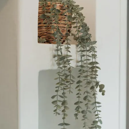 Astrio Apartment Livadi (Serifos)